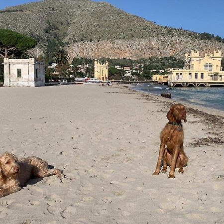 Due Cani Apartment Palermo Exteriér fotografie